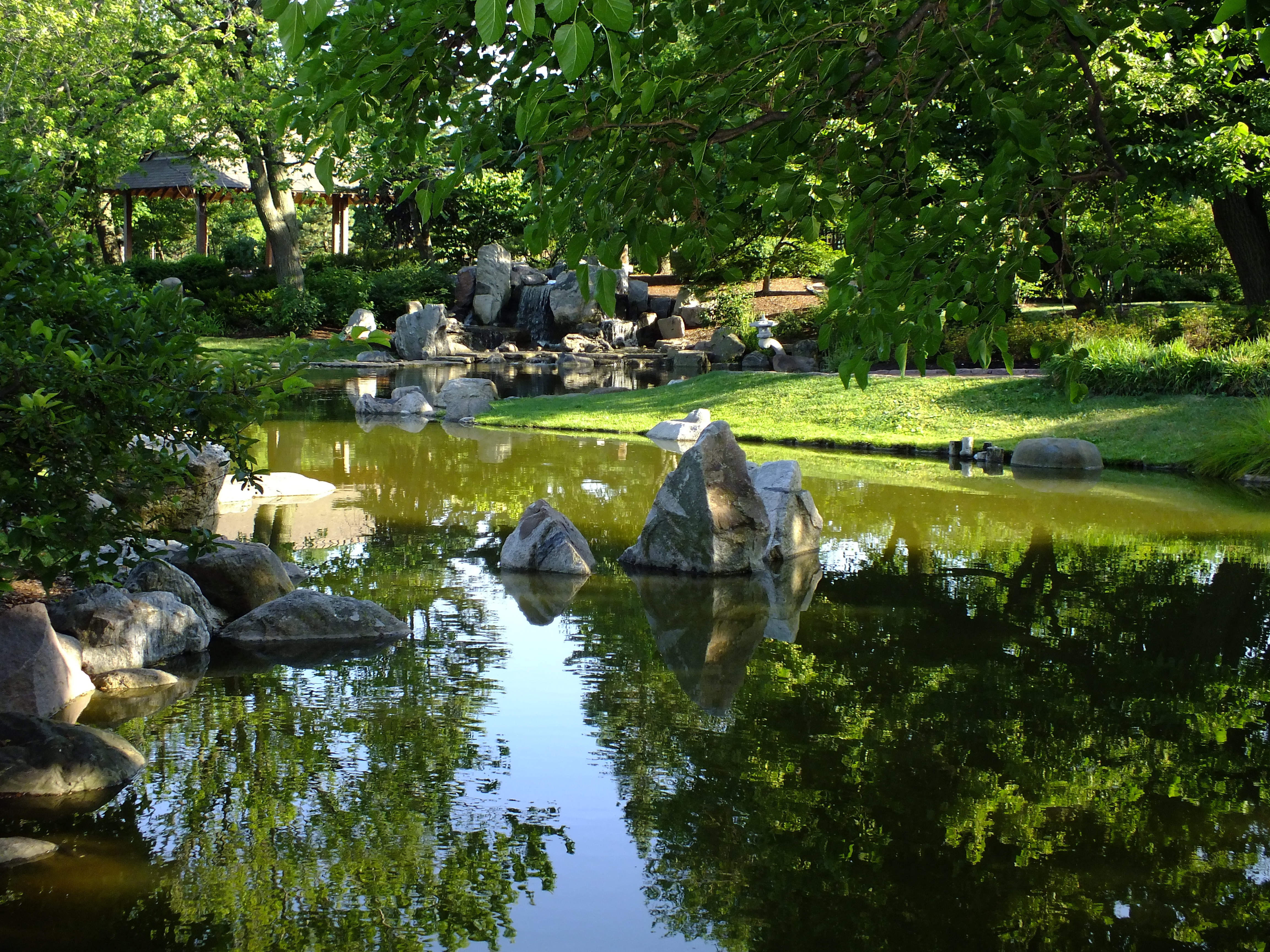 David Engel U S Japanese Gardens