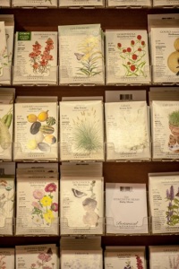 a small section of the seed shelves where I did my shopping (photo by Bill Eger)
