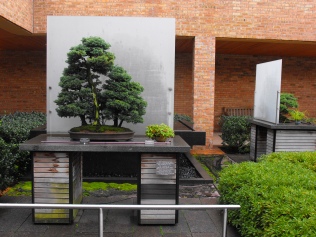 one example of the bonsai collection