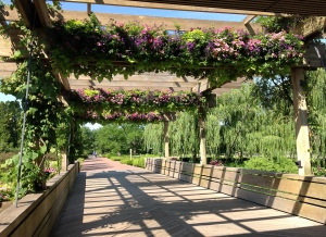 bridge with seasonal floral display