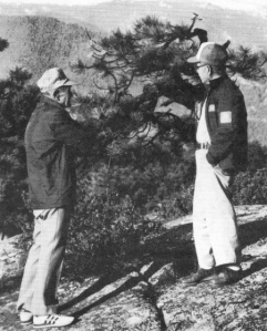 Kataoka and Kawahara select pines