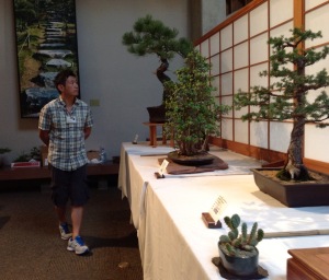 bonsai show