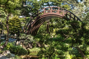 The Japanese Tea Garden in San Francisco's Golden Gate Park dates back to 1894. photo by Bill F. Eger