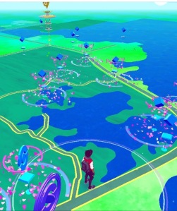 a recent map of Pokemon Go characters at Lili`uokalani Gardens in Hilo, Hawaii