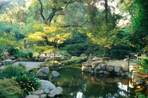 Descanso Gardens in Flintridge near Los Angeles will host the North American Japanese Garden Association regional conference in January 2017 Photo courtesy of Descanso Gardens 