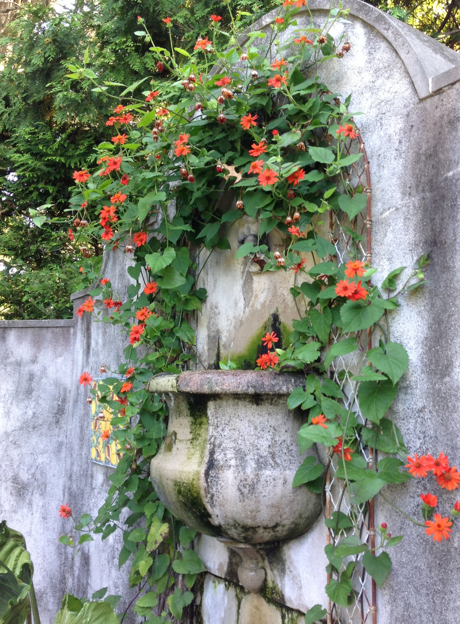 U.S. Japanese garden Gardens — pleasure | Chanticleer a